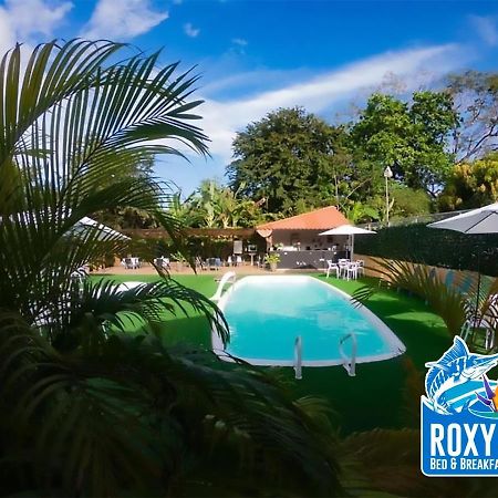 Roxy'S Bed & Breakfast Boca Chica Eksteriør billede