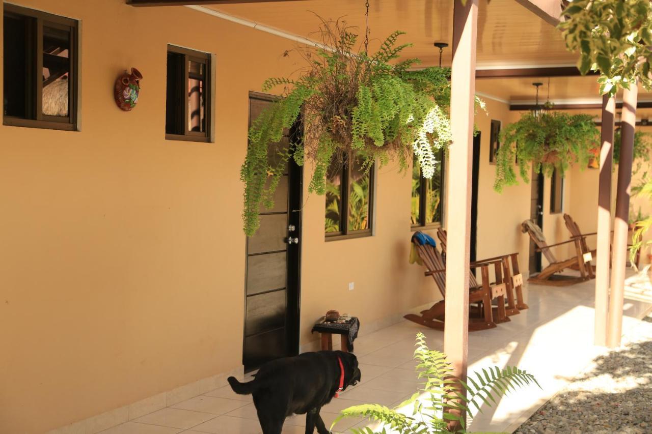 Roxy'S Bed & Breakfast Boca Chica Eksteriør billede